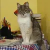 Отзыв от Фаина Фролова
